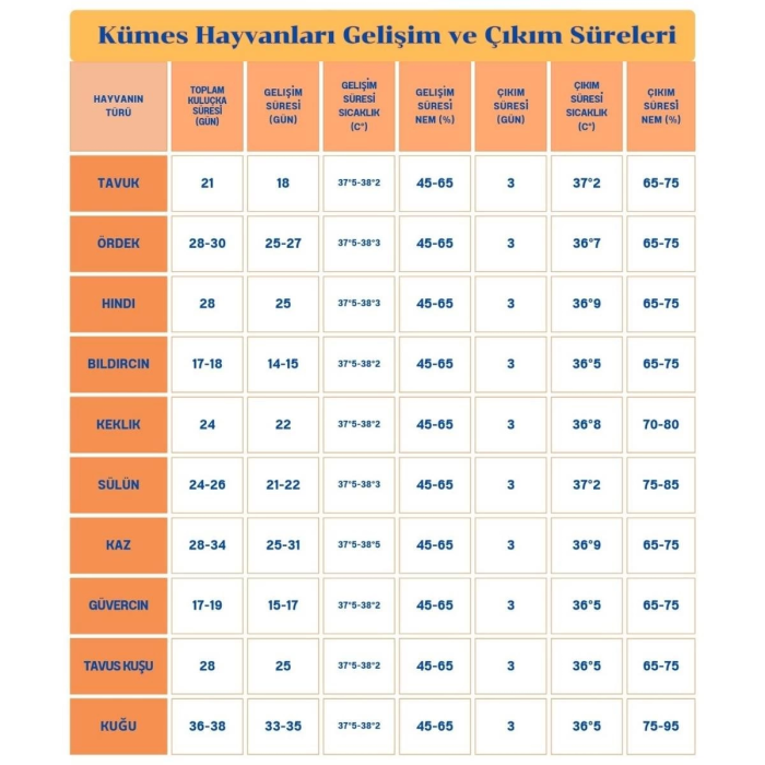 60 Yumurta Kapasiteli Tam Otomatik Kuluçka Makinesi - Civciv, Kaz, Hindi Ve Ördek Yetiştiriciliği Epo-w60