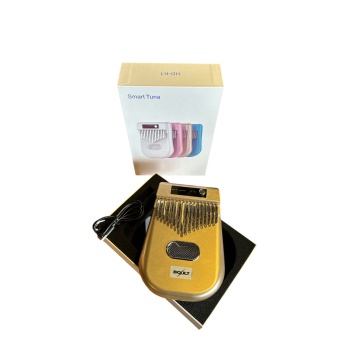 Gold Elektronik Kalimba