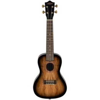 Laniikai Limited Edition SMBB-CX Spalted Maple Concert Ukulele