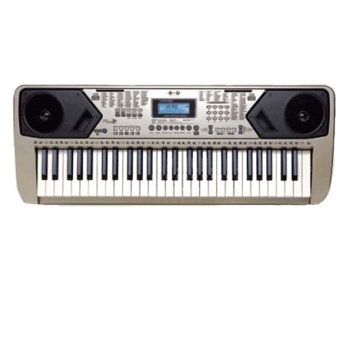 LP 54 Tuş 100 Ses 100 Ritim Org LP5410