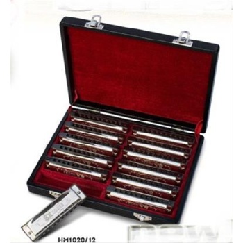 Valencia HM1020-12 Mızıka Seti (12li) | Farklı Tonlar - Okullar İçin Toplu Set - Kutulu