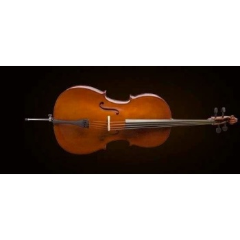 Valencia CE160F44 Çello 4/4 French Style (Öğrenci) | Başlangıç Seti - Kılıf ve Yay Dahil - Parlak