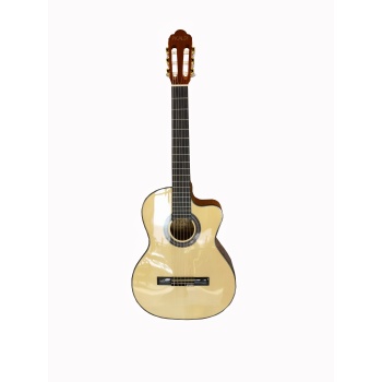 Picaldi ACG21CE Elektro Klasik Gitar (4/4) | Cutaway Kesik Kasa ile Üst Perdelere Kolay Erişim Dahili Preamp ile Sahne Bağlantısı İçin Hazır