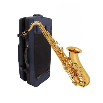 Buffet Crampon BC8101-1-0 100 Seri Alto Saksafon | Fransız Mühendisliği ile Mükemmel Entonasyon Başlangıç ve Orta Seviye İçin İdeal Tuşe Yapısı