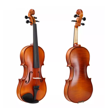 Picaldi VG210H 4/4 Tam Boy Keman | İleri Seviye Öğrenci Kemanı Zengin Harmonikler ve Akıcı Perde Geçişleri