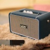 Laney F67-LIONHEART Taşınabilir Bluetooth Hoparlör