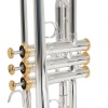 Roy Benson TR-CGS Charlie Green Signature Trompet