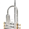 Roy Benson TR-CGS Charlie Green Signature Trompet