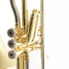 Roy Benson VT-227 Pistonlu Tenor Trombon