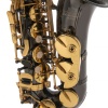 Roy Benson AS-202K Alto Saksafon