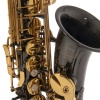 Roy Benson AS-202K Alto Saksafon