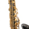 Roy Benson AS-202K Alto Saksafon