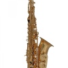 Roy Benson AS-202 Alto Saksafon