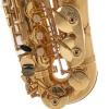 Roy Benson AS-202 Alto Saksafon