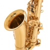 Roy Benson AS-202 Alto Saksafon