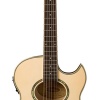Washburn EA20 Elektro Akustik Gitar