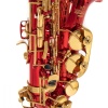 Roy Benson AS-202R Alto Saksafon