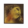 Pirastro Evah Pirazzi Gold G ( Sol ) Tek Keman Teli 415421