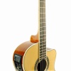 Gitar Klasik Cutaway Segovia SGC250EQ