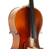 Cello ( Violonsel ) Stanislava STC44BR