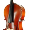 Cello ( Violonsel ) Stanislava STC44BR