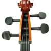 Cello ( Violonsel ) Stanislava STC44BR