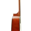 Gitar Akustik Cutaway Segovia SGA41N