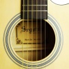 Gitar Akustik Cutaway Segovia SGA41N