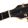 Gretsch Limited Edition Electromatic Flame Okoume Broadkaster Center Block Double Cut w/Bigsby Roundup Orange Elektro Gitar