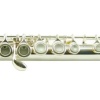 Sesenta SSF850SV Yan Flüt (Gümüş Kaplama) | Hassas Mekanizma, Zengin Ton Karakteri, Profesyonel Taşıma Çantası
