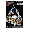 Planet Waves GT77094 Gitar Tattoo Rip N Tear Eagle Sticker | Kolay Uygulanır - İz Bırakmaz - Şık Tasarım