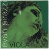 Pirastro 429021 Viyola Tel Seti - Evah Pirazzi (profesyonel - Konser Seri) | Modern Sentetik Çekirdek, Güçlü Projeksiyon, Derin Ve Zengin Harmonik Tonlar | Ölçü: 4/4 Viyolalar İçin (4lü Tam Takım Set / Yeşil Paket)