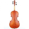 Carlovy VLA6-3/4 Keman (3/4) | Mat Finish Öğrenci Kemani