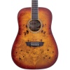 Washburn DFBDA Deep Forest Burl Amber Fade Akustik | Amber Geçişli Renk Egzotik Ağaç Dokusu