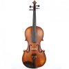 Carlovy VLA9-LH-34 Solak Keman (3/4) | Solak Öğrenci Kemanı Parlak Cila
