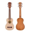 Cremonia AU10L-21 Soprano Ukulele | 21 İnç Kompakt Kasa