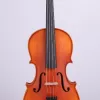 Picaldi LG107 16.5 Viyola | Tam Boy Gövde Hacmi, Zengin Orta Frekanslar, Yüksek Rezonans Kalitesi