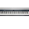 Kurzweil KAP1-KB Taşınabilir Dijital Piyano Siyah (Orta Seviye) | 88 Tuşlu Hassas Klavye, Dahili Hoparlör, Kompakt ve Hafif Gövde Yapısı