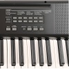 Artesia MA-88 Dijital Org (Başlangıç - 61 Tuş) | Dahili Ses Kütüphanesi ve Ritimler, Metronom Özelliği, Taşınabilir Kompakt Gövde Yapısı
