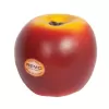 REMO SC-APLG-01 Elma Shaker (Eğitim - Meyve Serisi Perküsyon) | Gerçekçi Elma Görünümü, Dayanıklı Sentetik Gövde, Orta Dereceli Keskin Ritim Sesi | Uyum: Orff Eğitimi ve Profesyonel Perküsyon Setleri