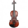 Carlovy VLA3-4/4 Keman - 4/4 (Eğitim - Başlangıç Seviyesi) | Standart Akustik Yapı, Abanoz Görünümlü Aksam, Lake Bitiş, Yeni Başlayan Öğrenciler İçin İdeal | Uyum: 4/4 (Tam Boy) Kemanlar