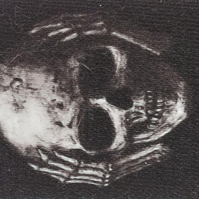 PLANETWAVES 50AL01 GİTAR ASKISI, 50MM, ALCHEMY STR-MUTED SKULL