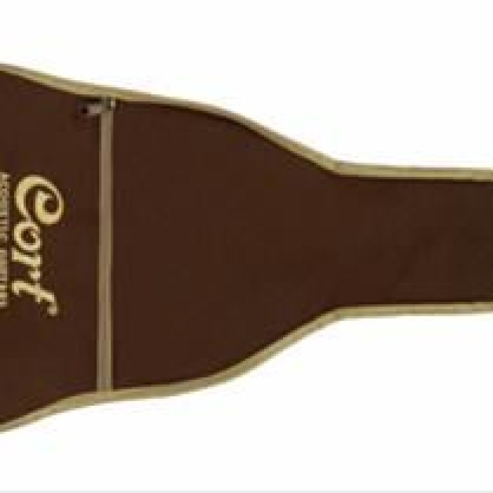 Cort AD880CENSW Elektro Akustik Gitar | Çantalı Natürel Satin