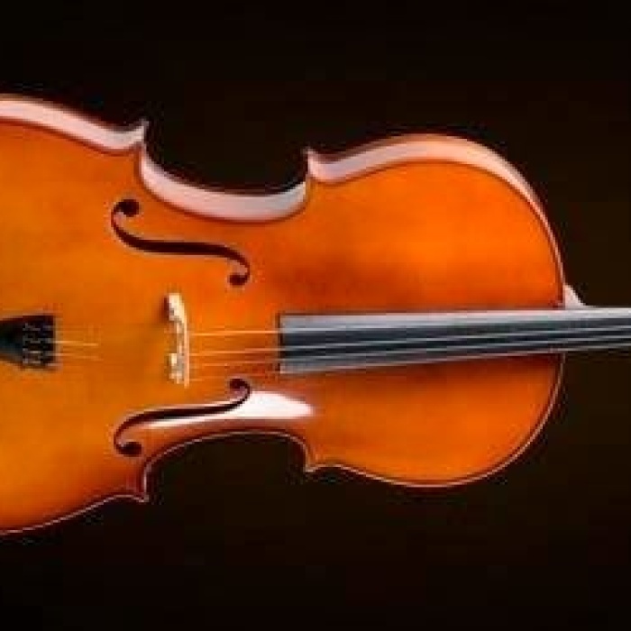 Valencia CE400G14 Çello 1/4 German Style | Küçük Yaş - Kutu ve Yay Dahil - Öğrenci Seti