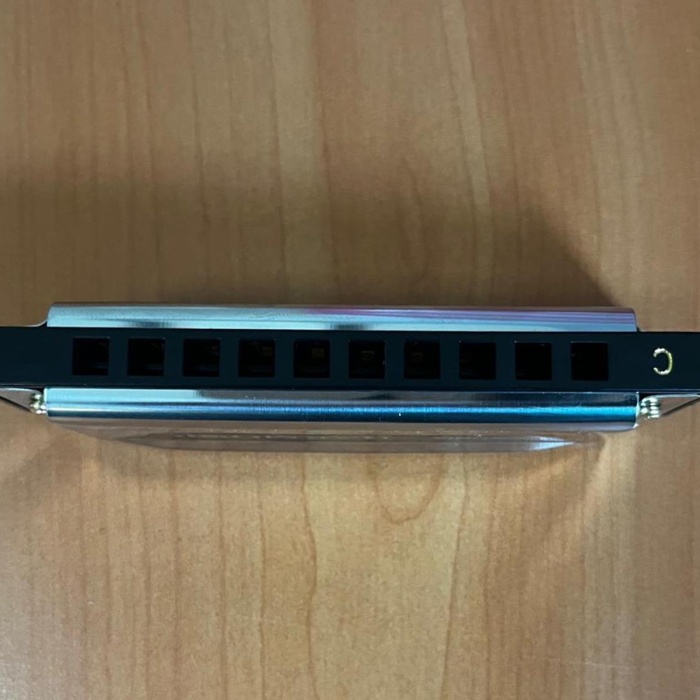 Cremonia HM0310 Profesyonel Mızıka | 10 Delikli Enstrüman