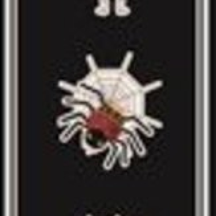 1Strap Elektro Gitar Askısı 1ST003