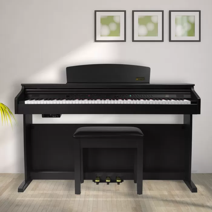 Artesia DP-10e Gülağacı Dijital Piyano