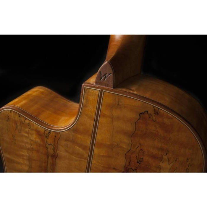 Washburn Comfort Serisi WCG66SCE  Elektro Akustik Gitar