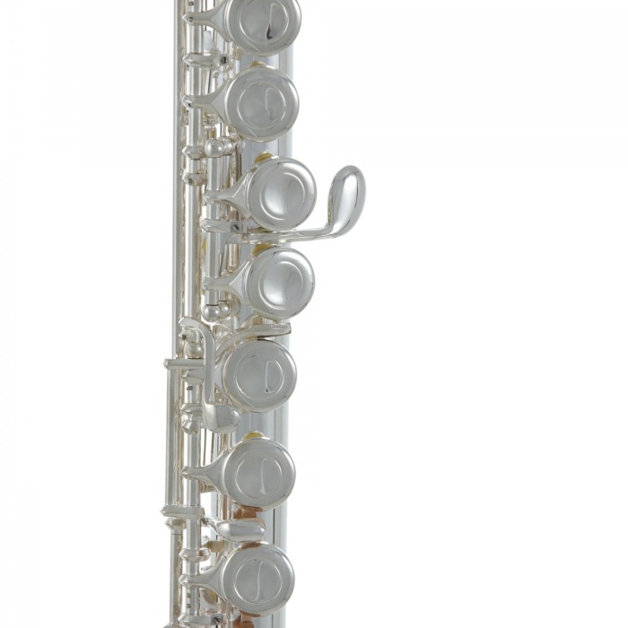 Roy Benson FL-402E Yan Flüt