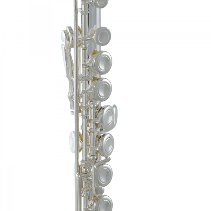 Roy Benson FL-402E Yan Flüt